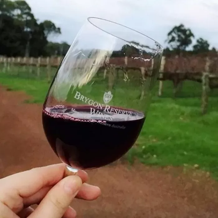 Brygon-Reserve-Wine-Glass