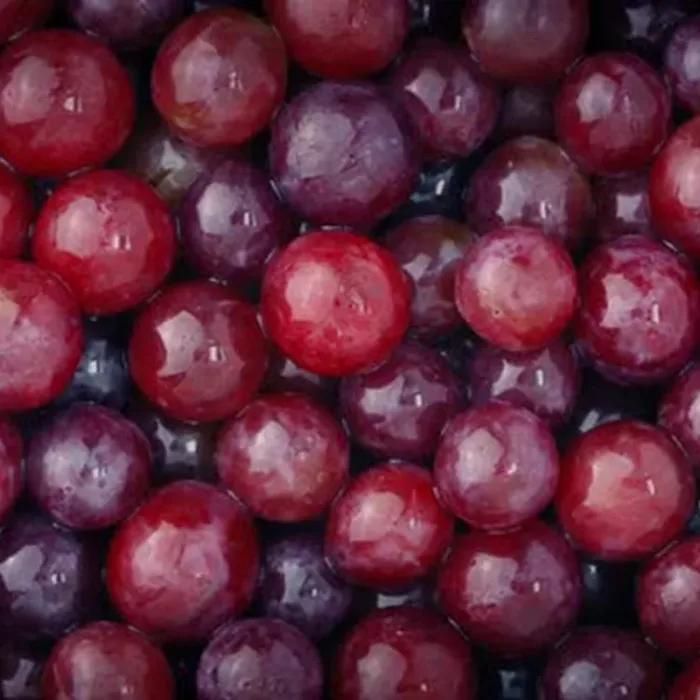 All-Saints-Wine-Red-Grapes_result
