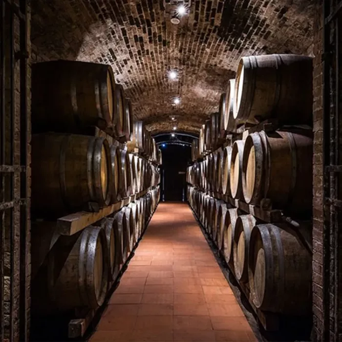 Piccini-Wine-Cellar