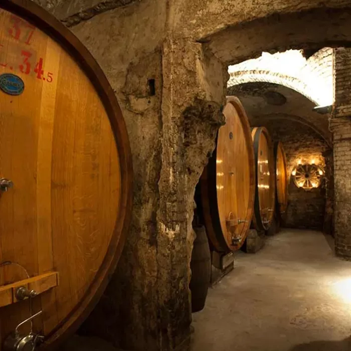 Pio-Cesare-Wine-Cellar