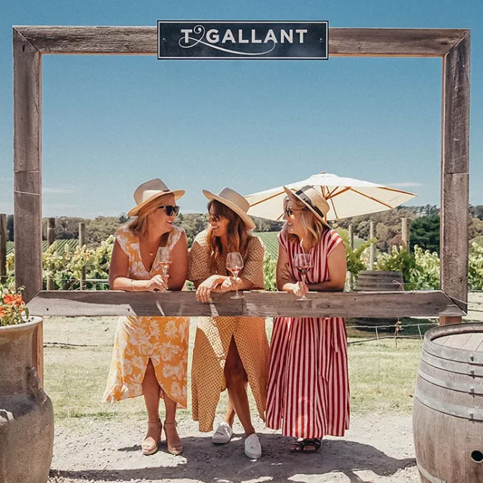 TGallant-Winery