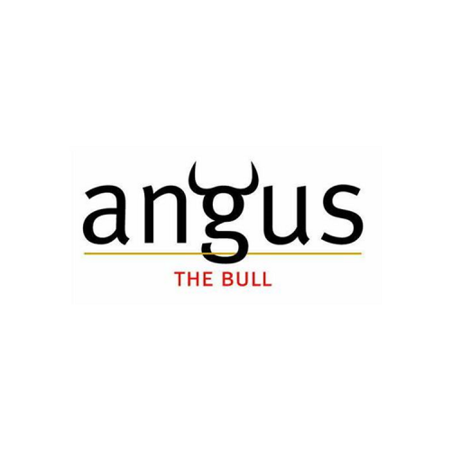 Angus The Bull
