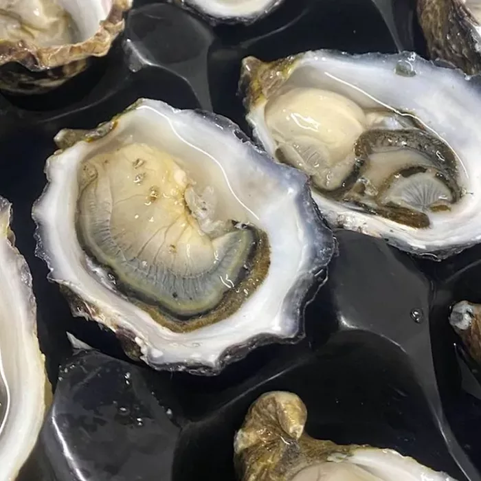 Oyster-Bay-Wine-Oysters