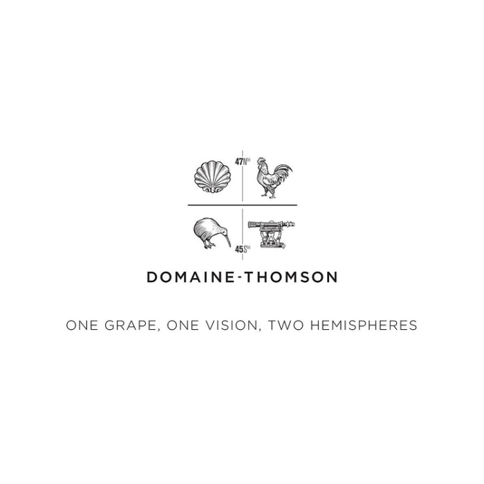 Domaine Thomson Explorer Pinot Noir - Image 2